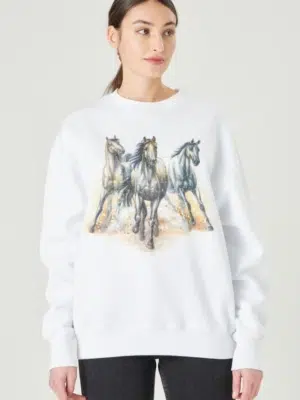 24 colors sweater white