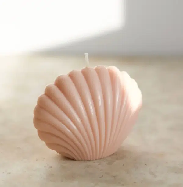 Muschelkerze nude