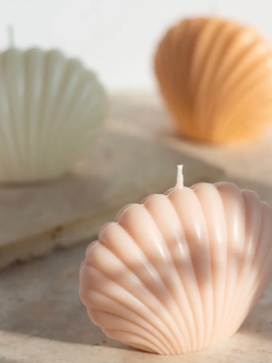 Muschelkerzen