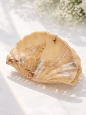 Éline L’atelier Haarklammer Muschel Braun