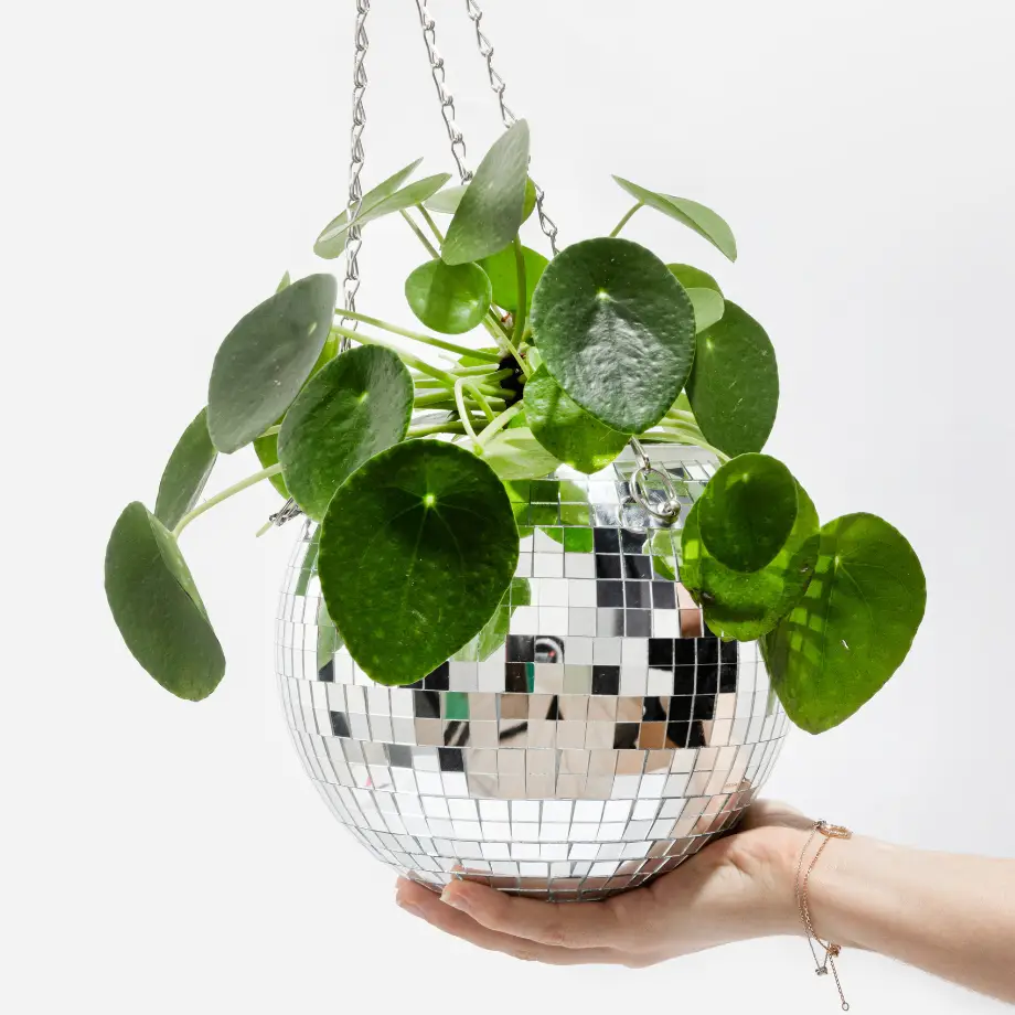 L'expressionist Blumentopf Discokugel groß